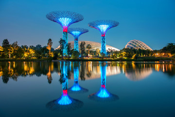 The Supertree at Gardens by the Bay - 264366375
