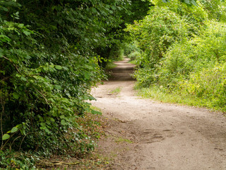 Harrow Way - North of Overton