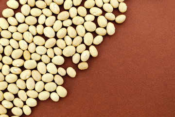 Soybean beans close-up on brown background. Place for text.