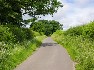 Harrow Way - South East Basingstoke