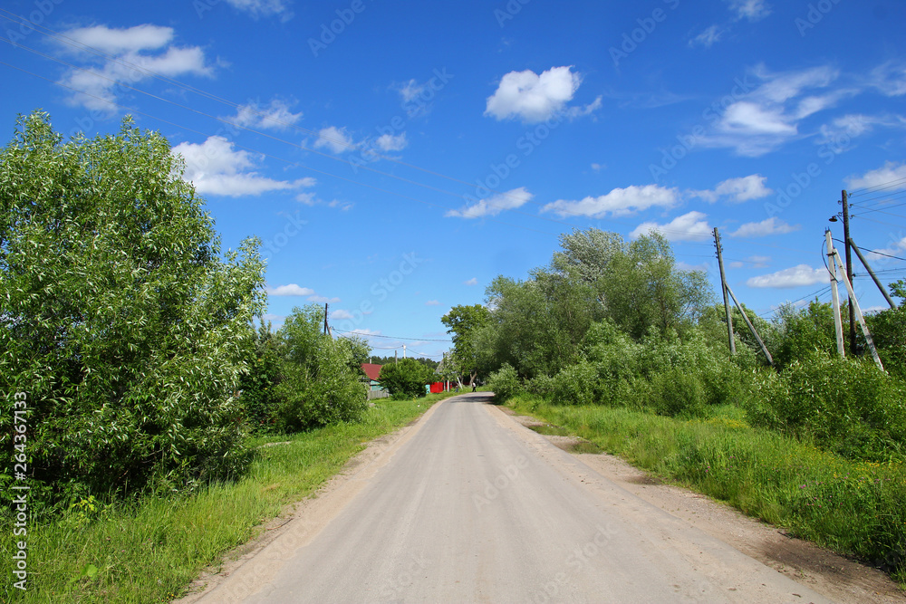 Wall mural russian road