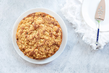 homemade delicious apple cake on white plate  .