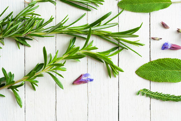  Herb and spice plants at spring