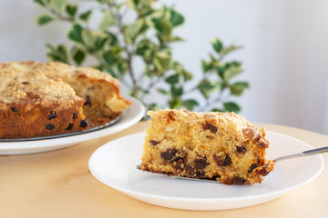 homemade delicious apple cake on white plate.