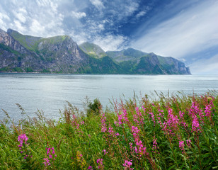 Summer Senja coast (Norway)