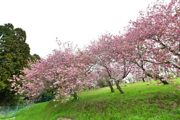 静峰ふるさと公園