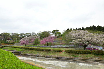 静峰ふるさと公園