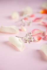 Orange, rose, and white roses petals on the pink background