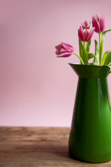 Pink tuplis flowers in green vase on the pink background