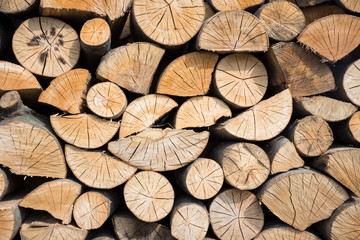 Pile of wood logs ready for winter.