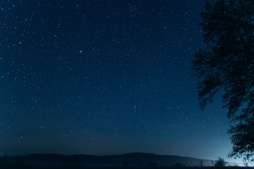Night blue sky. Silhouettes of trees in the background of the night sky. Evening sky on the horizon.