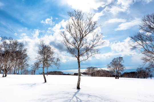 北海道の冬・洞爺湖近くの雪景色