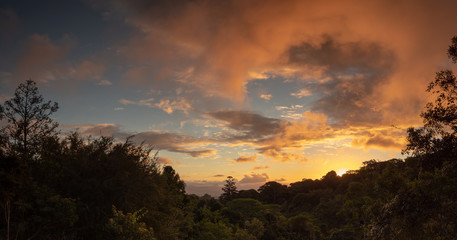 Rain Forest Sunset