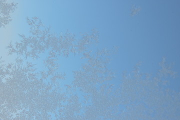 A close-up of beautiful ice flowers on a window, blue sky in the background - obrazy, fototapety, plakaty