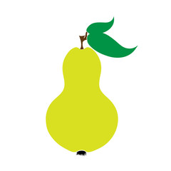 Vector illustration of painted pear on white background. Symbol of fruit, food,vegetarian,vegan.