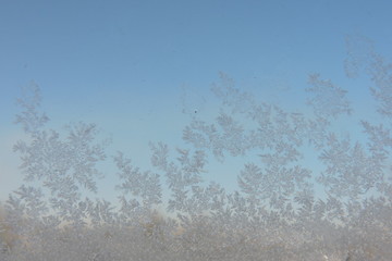 A close-up of beautiful ice flowers on a window, blue sky in the background © E-lona
