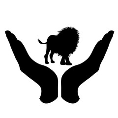 Vector silhouette of a hand in a defensive gesture protecting a lion. Symbol of animal, wild,africa, nature, humanity, care, protection, veterinary.