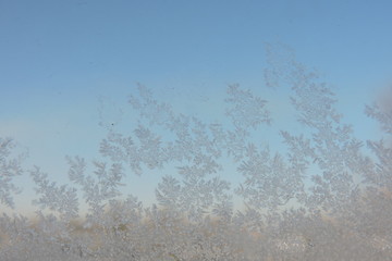 A close-up of beautiful ice flowers on a window, blue sky in the background