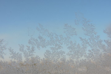 A close-up of beautiful ice flowers on a window, blue sky in the background © E-lona