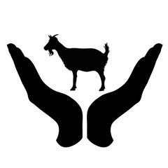 Vector silhouette of a hand in a defensive gesture protecting a goat. Symbol of animal, farm, cattle, humanity, care, protection, veterinary.