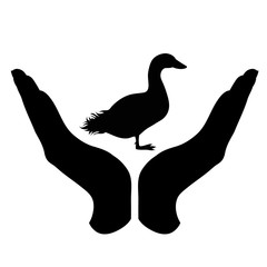 Vector silhouette of a hand in a defensive gesture protecting a duck. Symbol of animal, farm, poultry, humanity, care, protection.