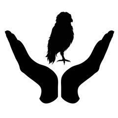 Vector silhouette of a hand in a defensive gesture protecting a owl. Symbol of animal, bird, forest, nature, humanity, care, protection.