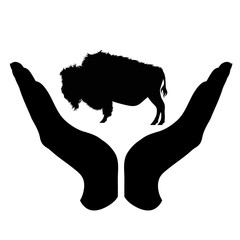 Vector silhouette of a hand in a defensive gesture protecting a buffalo. Symbol of animal, wild,nature, humanity, care, protection.