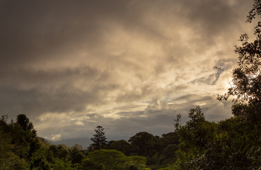 Obraz na płótnie Canvas Rain Forest Mountains and Moody Weather