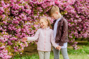 Tender love feelings. Little girl and boy. Romantic date in park. Spring time to fall in love. Kids in love pink cherry blossom. Love is in the air. Couple adorable lovely kids walk sakura garden