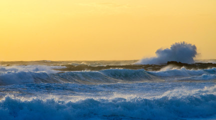 Olas