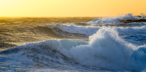 Olas