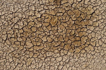 texture of dry crack on the ground in drought season