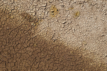 dirt floor on the ground with crack texture