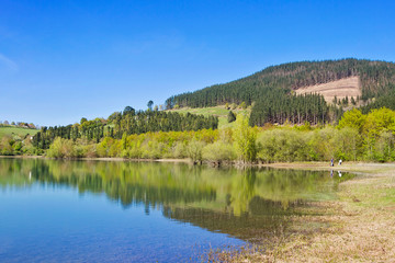Obraz premium Urkulu swamp beautiful landscape in Gipuzkoa province, Spain
