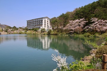 Fototapeta na wymiar 鏡ヶ池公園・岳温泉の桜（福島県・二本松市）