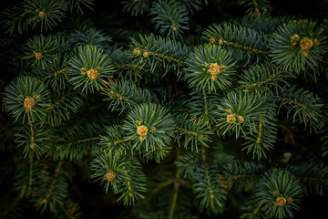 abstract gothic building of turquoise color under an orange sky