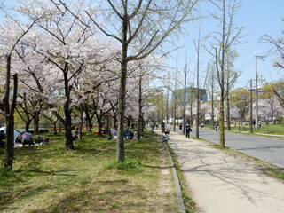 Fototapeta premium 大阪城公園 日本