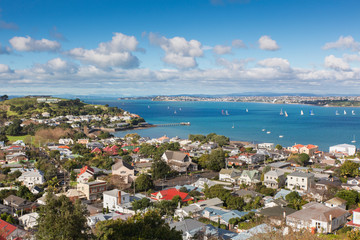View on the bay of Auckland