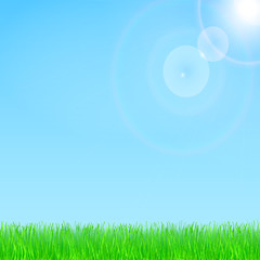 Obraz premium Summer and spring design with sunshine and grass. Blue sky in the background. Vector eps 10.