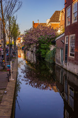 Fototapeta na wymiar Traditional Dutch facades, Delft, Netherlands