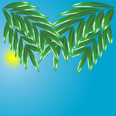 Silhouette of palm tree on beach