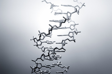 DNA structure on white background