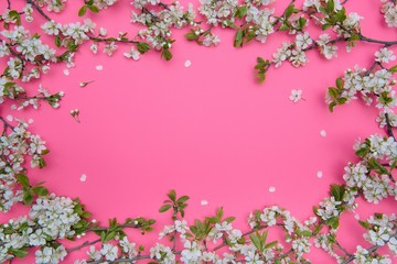 Obraz na płótnie Canvas photo of spring white cherry blossom tree on pastel pink background. View from above, flat lay