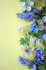 flowers on yellow background, room for text and copy
