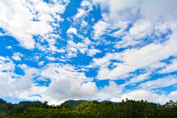 Blue sky and white clouds