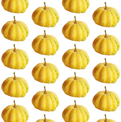 Orange Pumpkins patterned