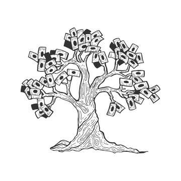 Money tree plant sketch engraving vector illustration. Scratch board style imitation. Black and white hand drawn image.