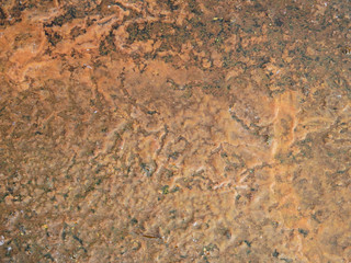stain of dirty in water on wet floor texture