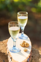 Two glasses of fresh white wine on a wooden board a traditional Italian snack - Taralli on a bright sunny day in a vineyard in Salento, Apulia