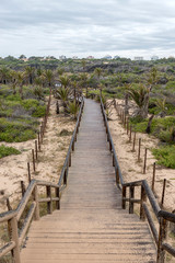 Fototapeta premium Wooden footbridge in the dunes of the beach